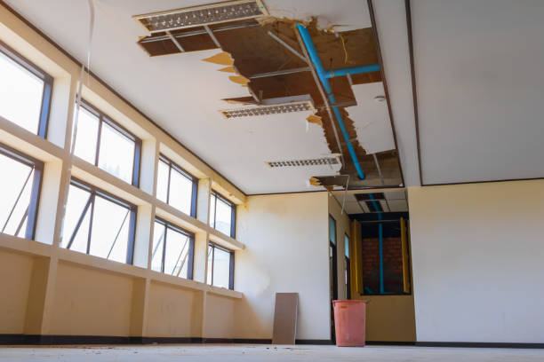Best 24/7 water damage repair  in Bastrop, TX