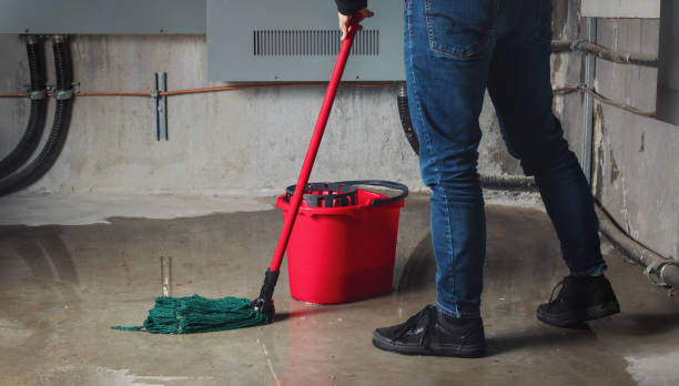 Best Local water damage restoration  in Bastrop, TX