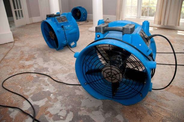 Best Carpet water damage restoration  in Bastrop, TX