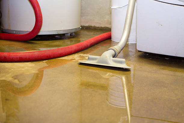 Best Local water damage restoration  in Bastrop, TX