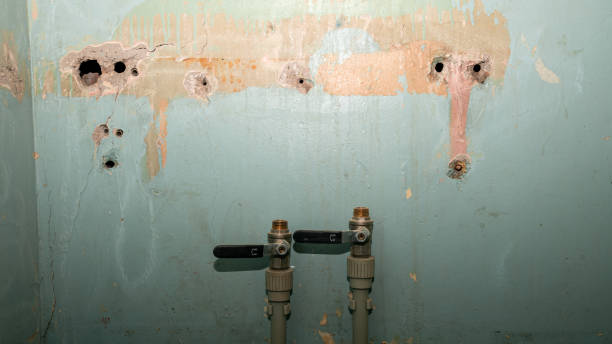 Best Water damage mitigation services  in Bastrop, TX