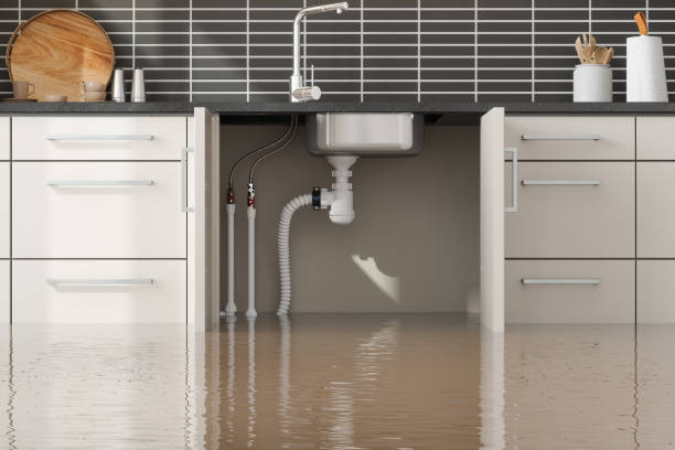  Bastrop, TX Water damage restoration Pros