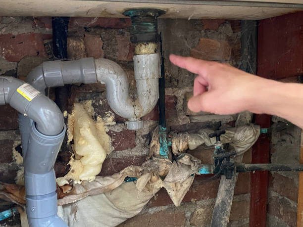 Best Sewage cleanup and water damage restoration  in Bastrop, TX