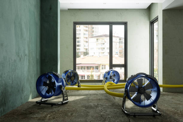 Best Water damage restoration insurance claims  in Bastrop, TX